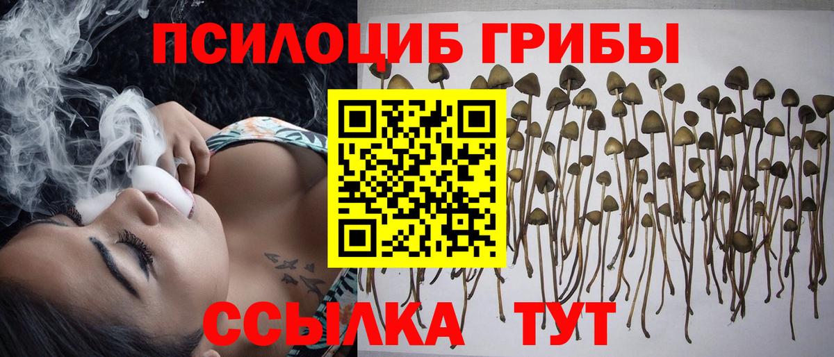 Галлюциногенные грибы Каспийск